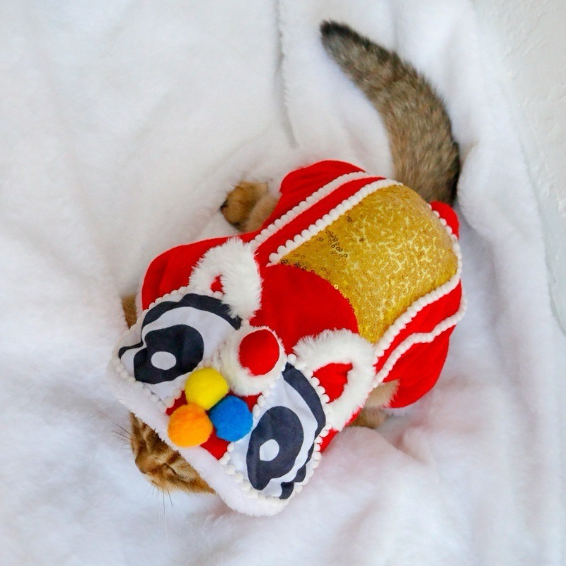 BAJU ANJING BARONGSAI