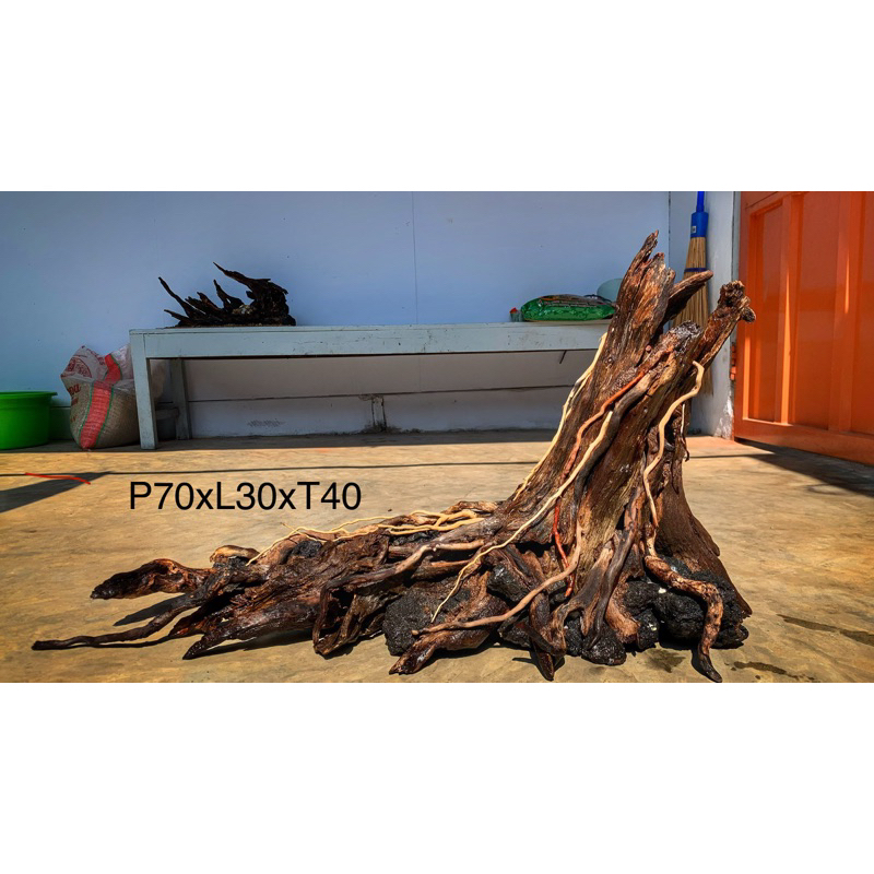 Hardscape Bonggol untuk aquarium aquascape 80-100cm