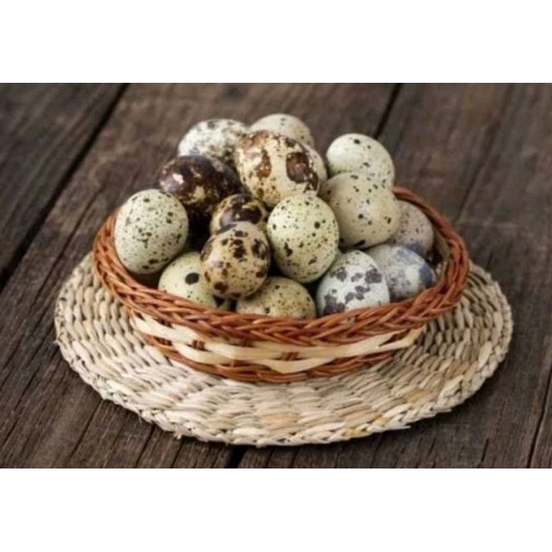 

telur puyuh matang isi 10 butir