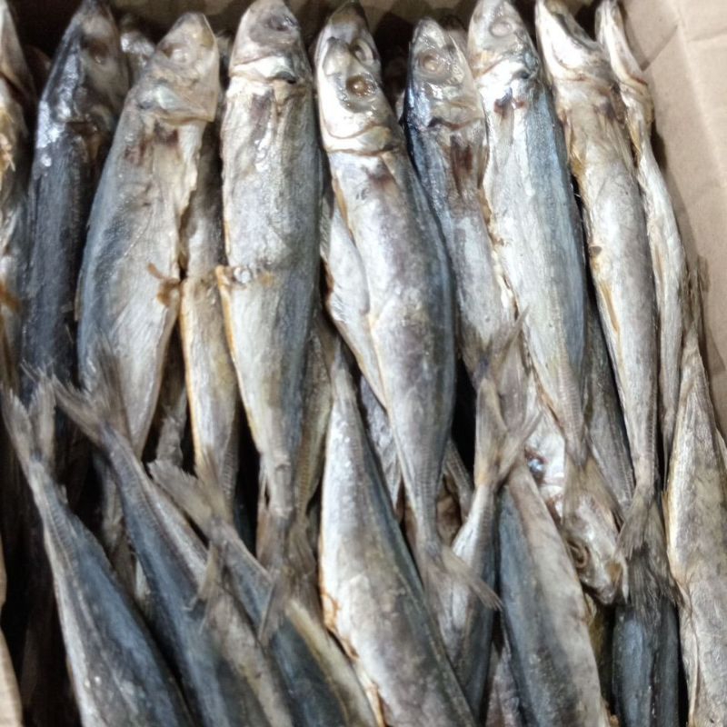 

ikan asin pedo