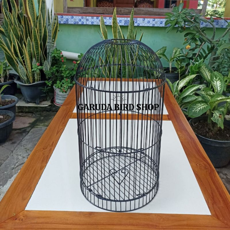 GEMBUNG RAM HELOPET PLECI RAM HELOPET MURAH