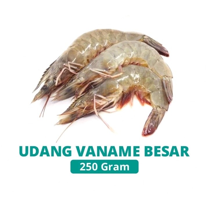 

UDANG VANAME BESAR