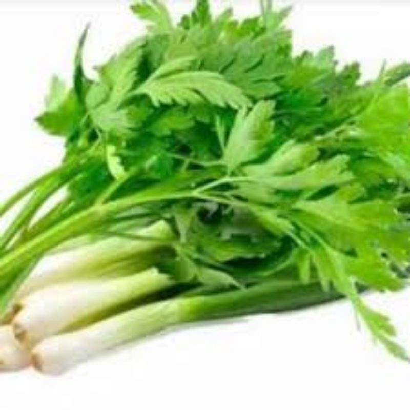 

DAUN SOP DAN BAWANG PREI