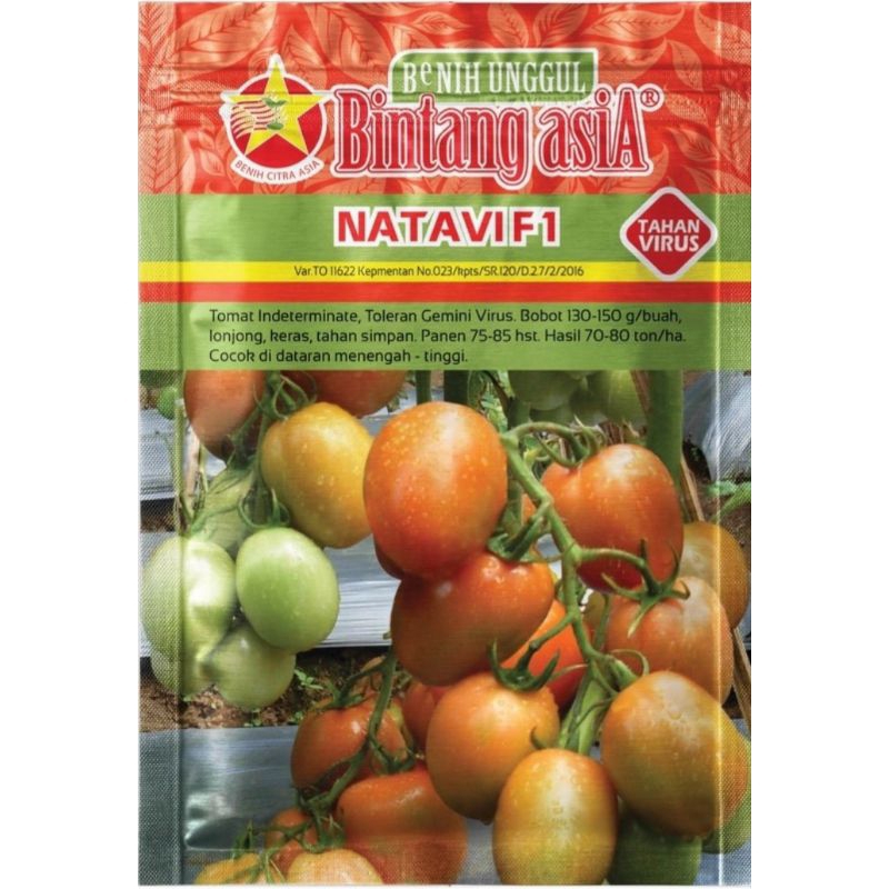 Benih tomah NATAVI F1 BINTANG ASIA KEMASAN 5GR