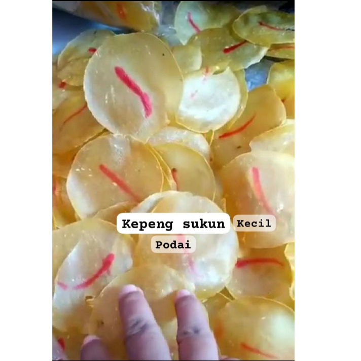

Kepeng sukun podai kecil isi 100