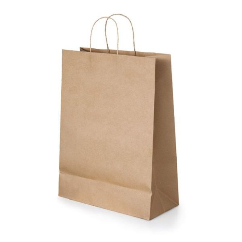 

EXTRA PAPER BAG