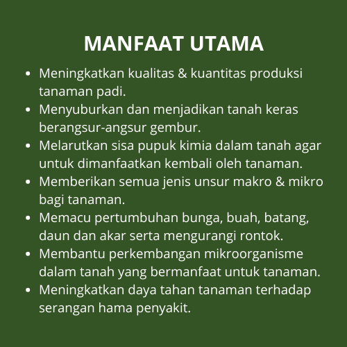 Sekar_Jenaka Pupuk Booster Padi / Pupuk Cair Padi / Pupuk Semprot Untuk Tanaman Dan Buah Padi /