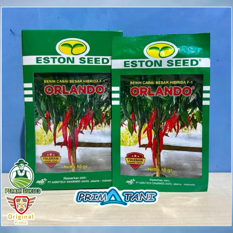 ORLANDO  Benih Cabai Besar Hibrida F1 - Kemasan Pabrik 10gram - Eston Seed