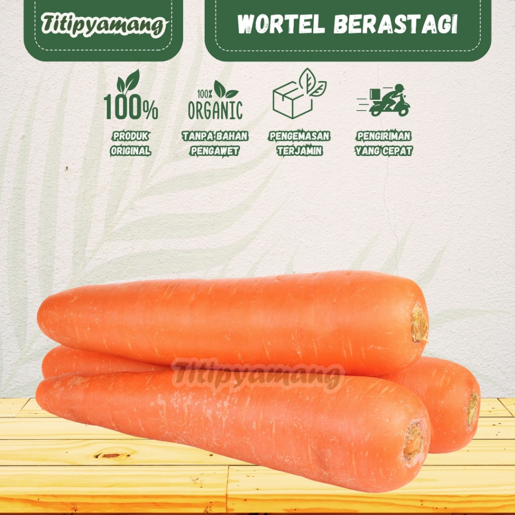 

Wortel Berastagi | Wortel Manis | Wortel Import