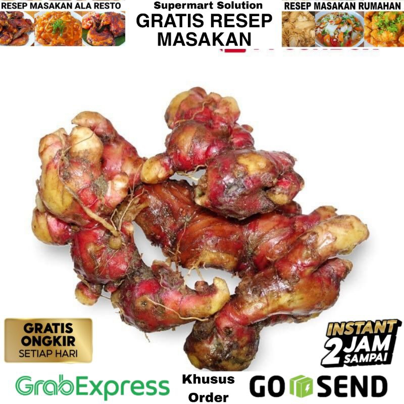 

Jahe Merah Super Segar Murah