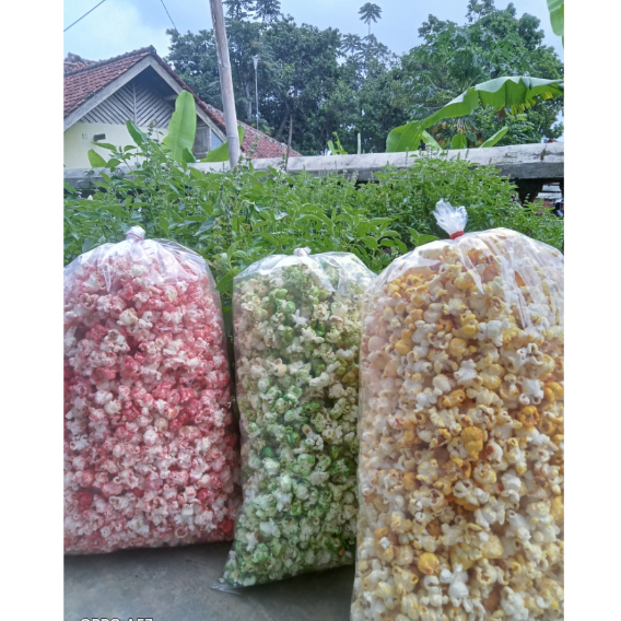 

popcorn 500 gram