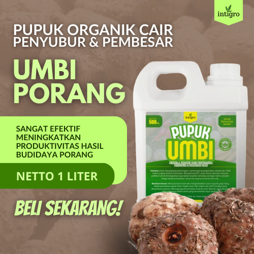 Pupuk Porang / Pupuk Booster Umbi Porang / Pupuk Pembesar Umbi Porang Memperbaiki Struktur Akar Menc