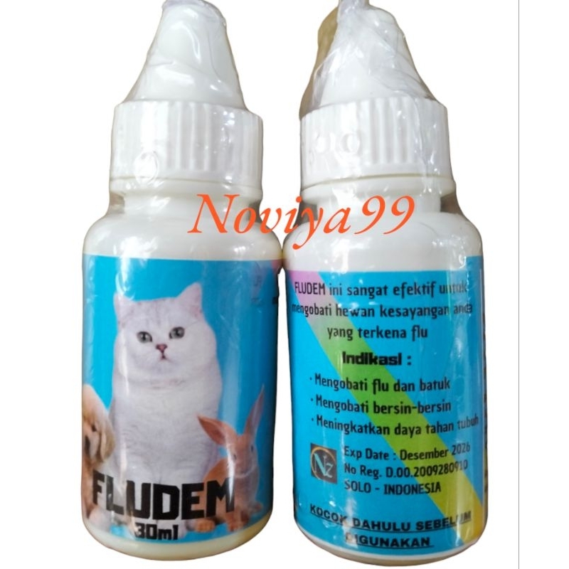 Obat flu dan demam kucing anjing