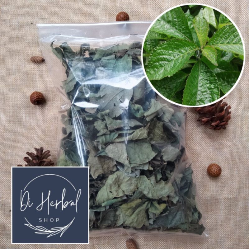 

Daun Keji Beling Kering Herbal Alami Isi 100 Gram