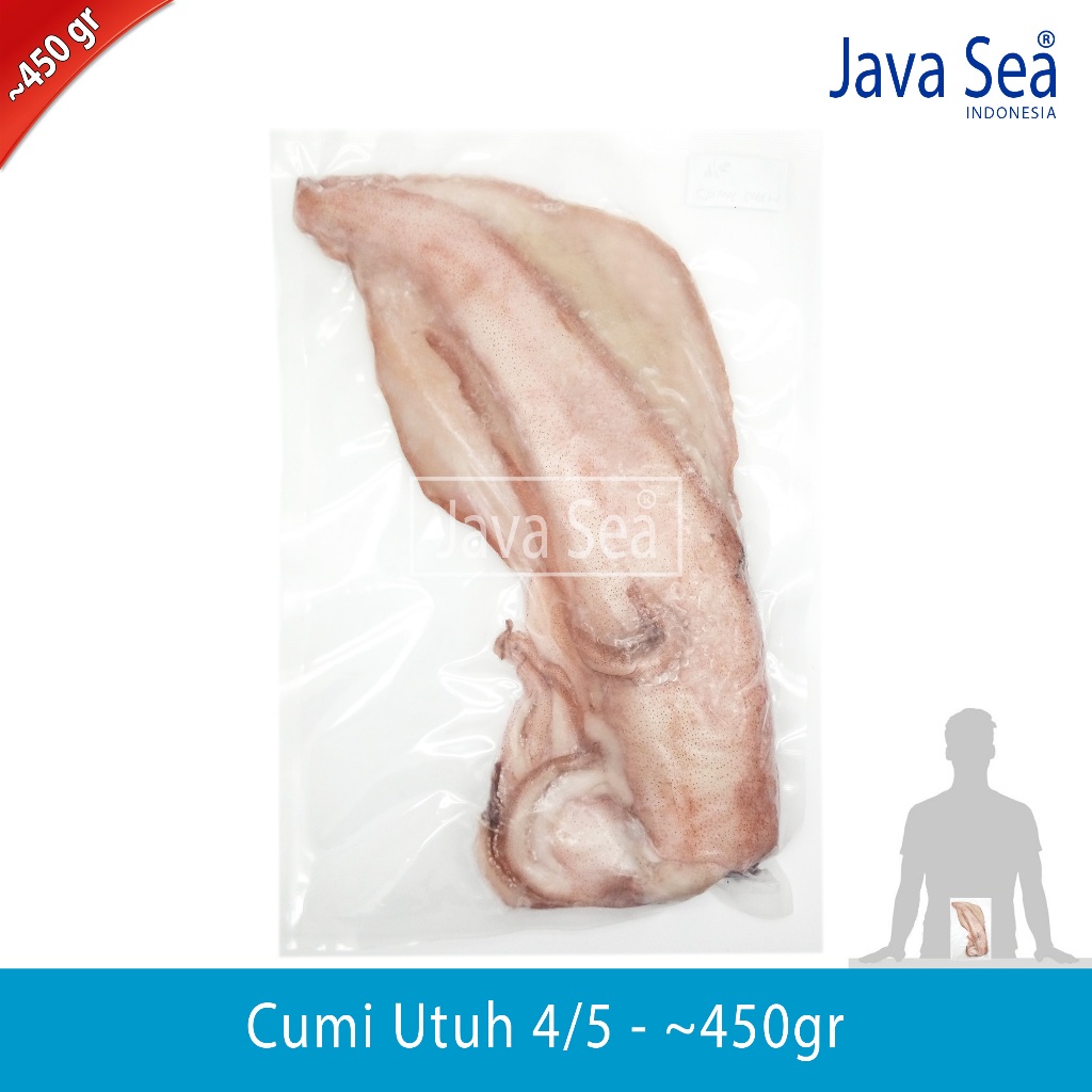 

Cumi Utuh 4/5 pack 400-500gr Java Sea