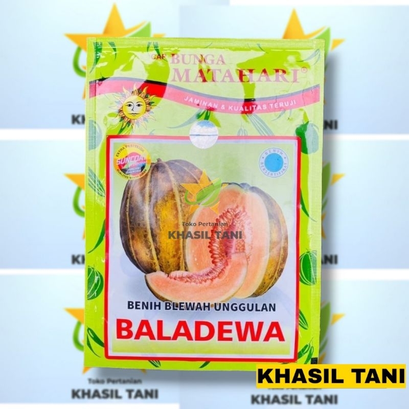 Benih Blewah BALADEWA Netto 20gr - Bunga Matahari | benih garbis baladewa