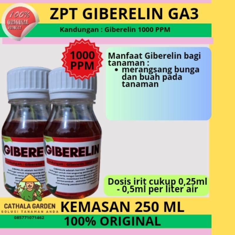 ZPT HORMON GIBERELIN GA3 1000 PPM KEMASAN 250ML | HORMON TANAMAN MEMICU BUNGA DAN BUAH