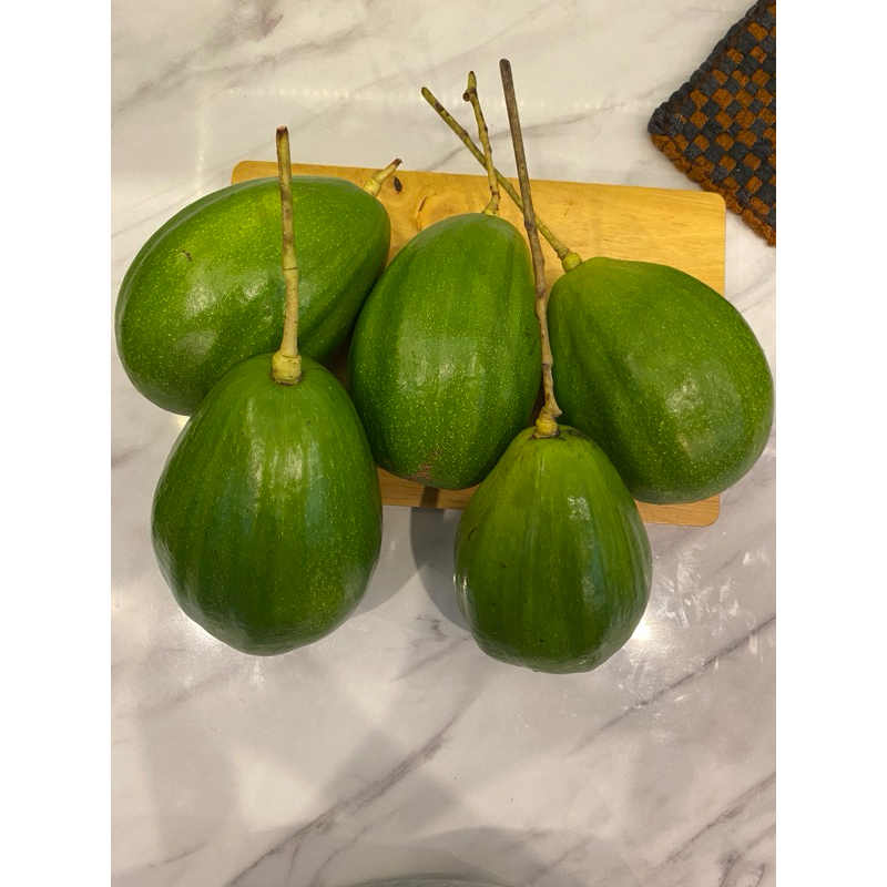 

ALPUKAT JUMBO ALIGATOR [ 4 KG isi 5 Buah]