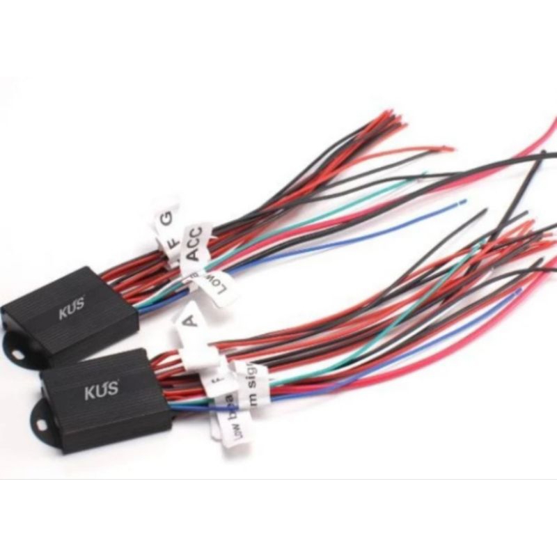 MODUL MATRIX KUS BILED NYALA  GANTIAN WELCOM LIGHT BILED