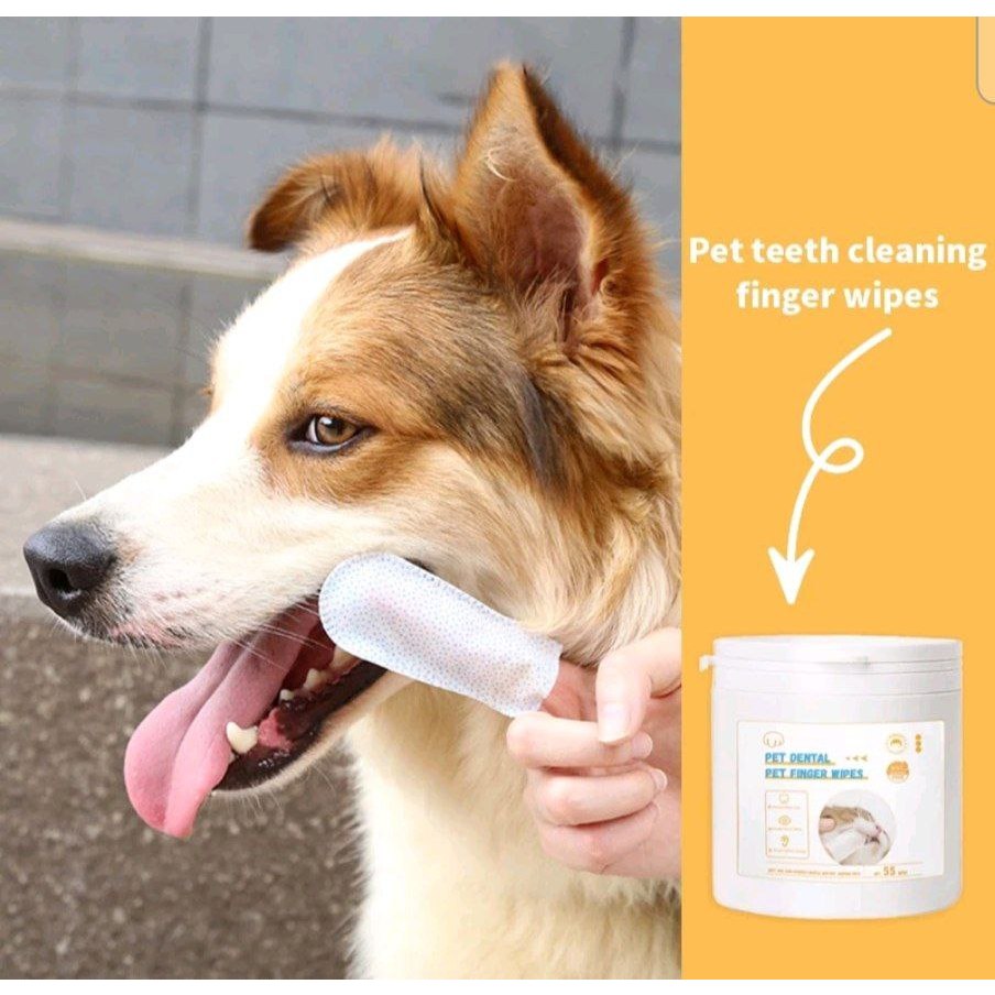 Healthy Pet Tissue