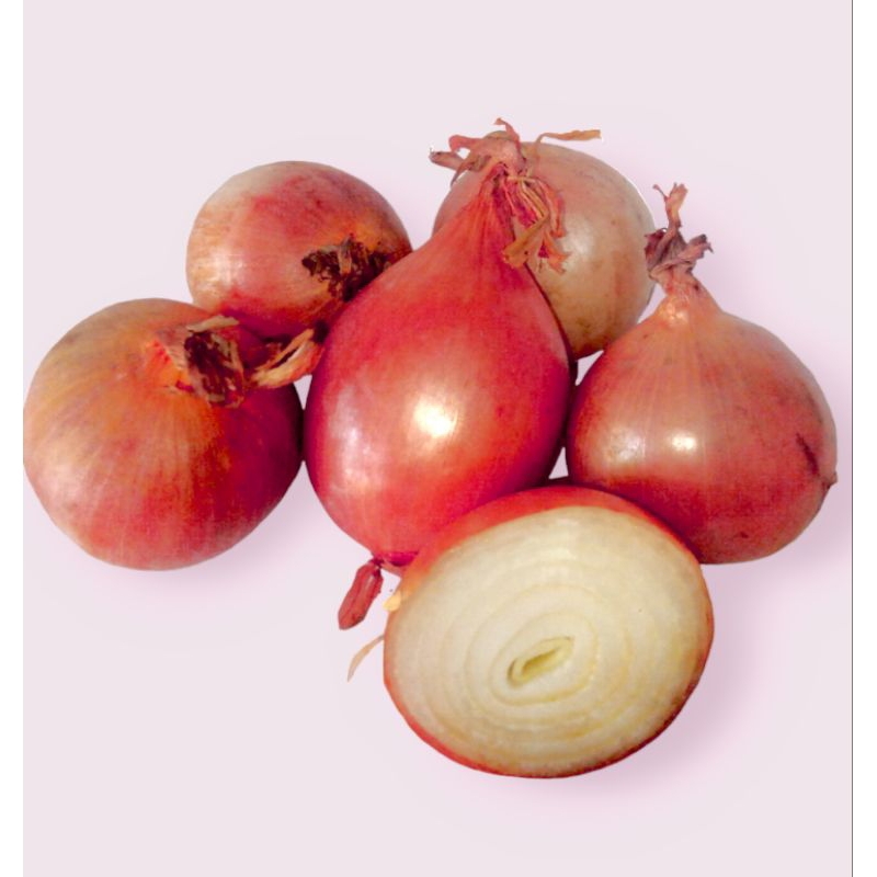 

Bombai 1kg Bersih Segar Berkualitas