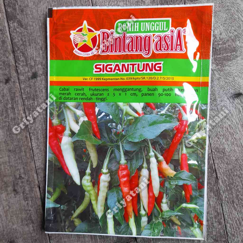 Benih Cabai rawit Sigantung 10gr