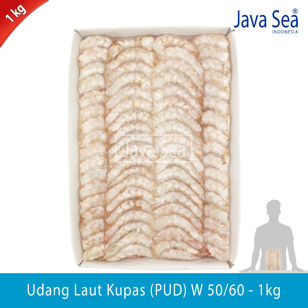 

Udang Laut Kupas PUD W 50/60 pack 1kg Java Sea