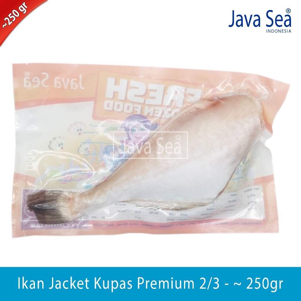 

Ikan Jacket/Jaket Kambing 2/3 pack 200-300gr Java Sea