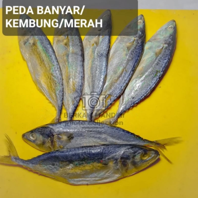 

peda banyar atau peda merah