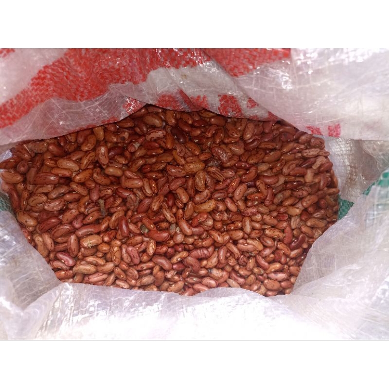 

Kacang merah lokal curah per 500gr