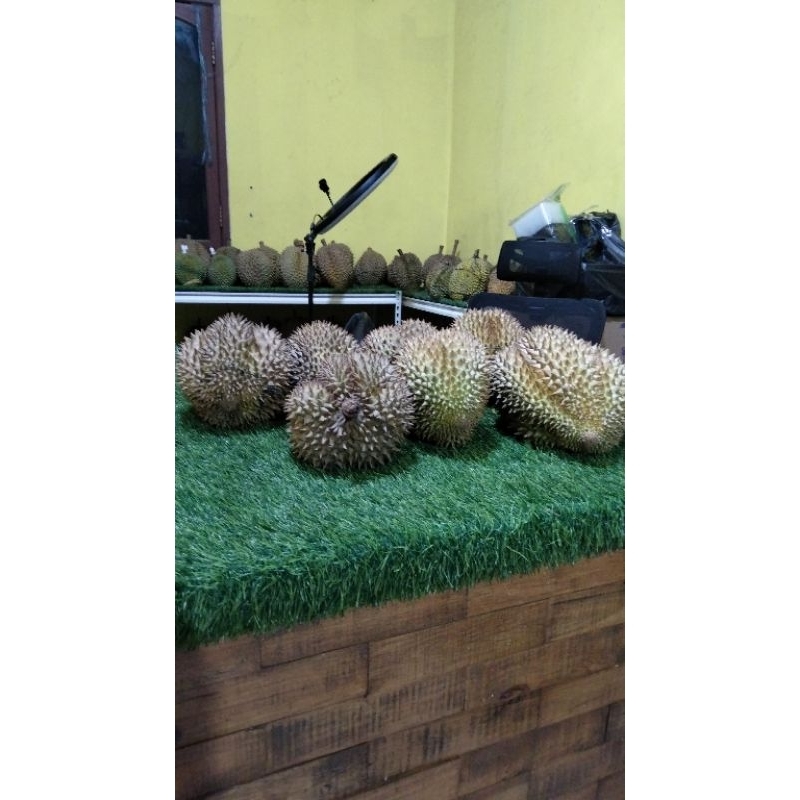 

durian blacktorn