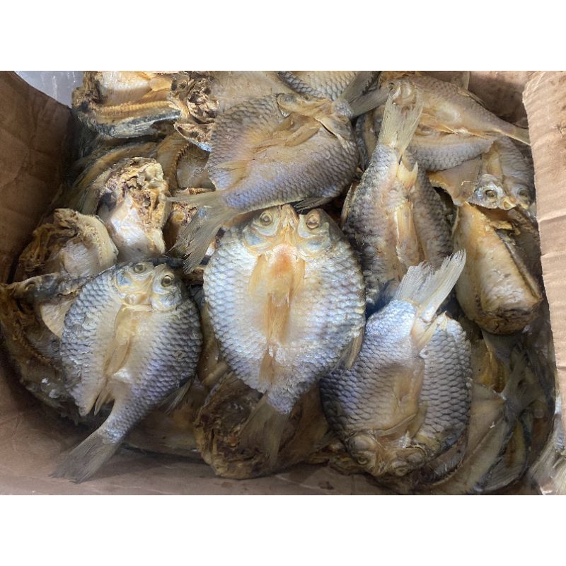 

Ikan Asin Tawes Jumbo Super murah