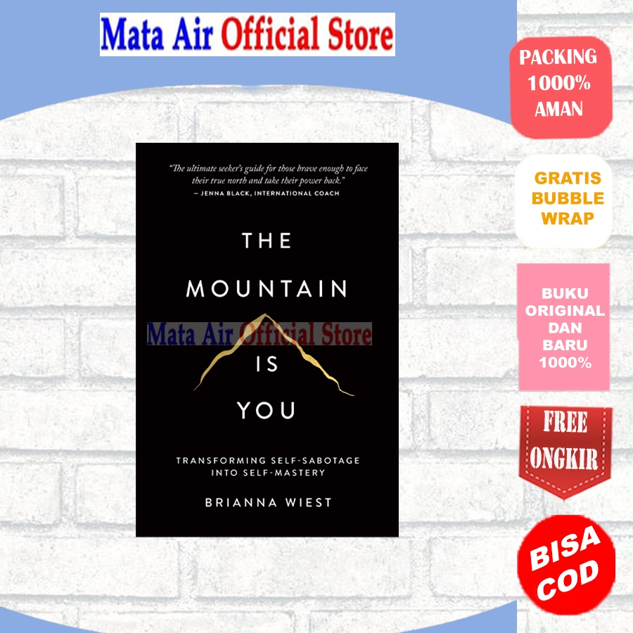 BEST SELLER ORIGINAL THE MOUNTAIN IS YOU - BRIANNA RENEBOOK