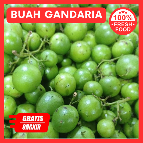 

Terlaris Buah Gandaria / buah jatake muda 500g