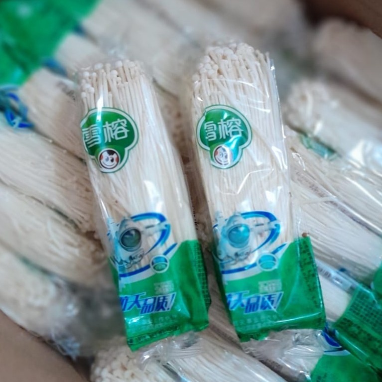 

JAMUR ENOKI ASTRONOT SEGAR 1 PACK / FRESH ENOKI MUSHROOM