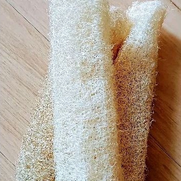 Gambas oyong kering 20 cm