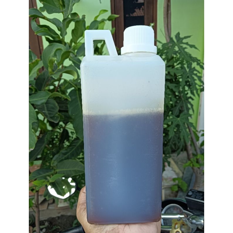 

Madu hutan asli 100% tanpa campuran