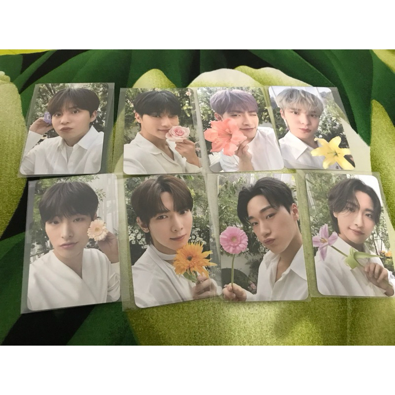 photochard nacific x ateez