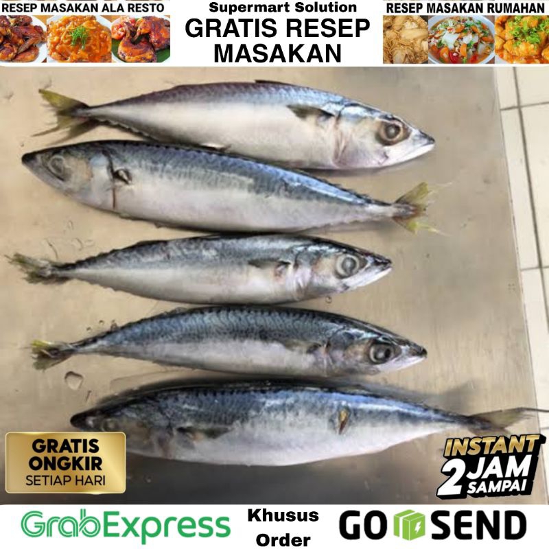 

Ikan Salem Segar