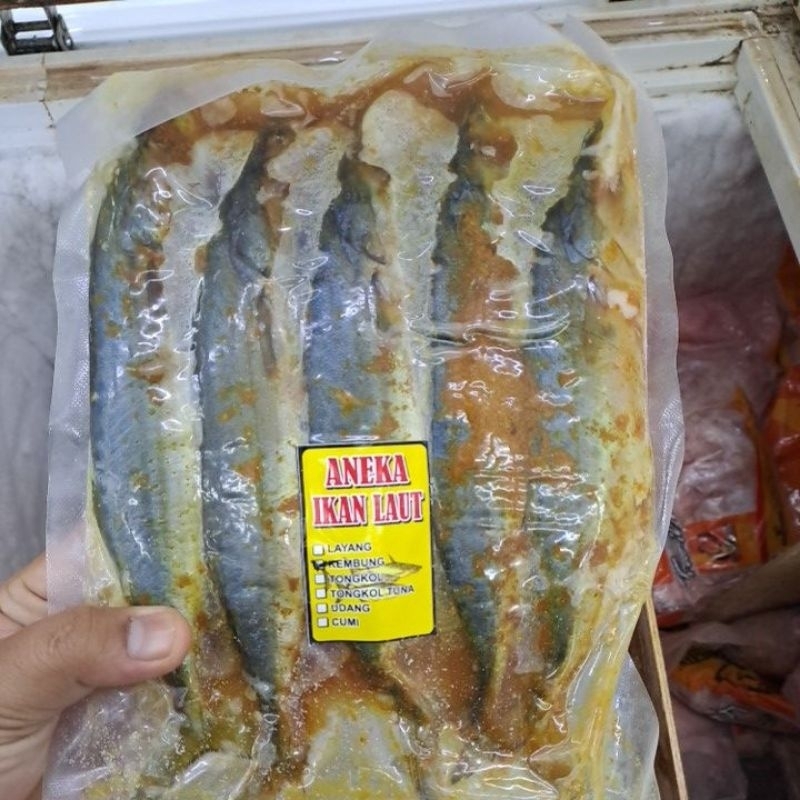 

IKAN KEMBUNG MANIRASI