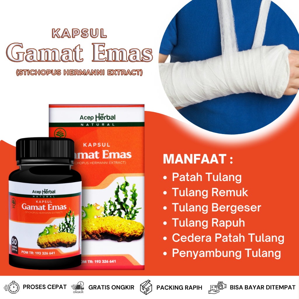 Obat Patah Tulang, Obat Tulang Retak, Obat Penyambung Patah Tulang, Obat Tulang Rapuh, Obat Tulang B