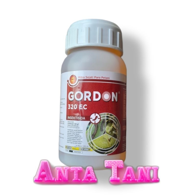 Gordon 250Ml Insektisida