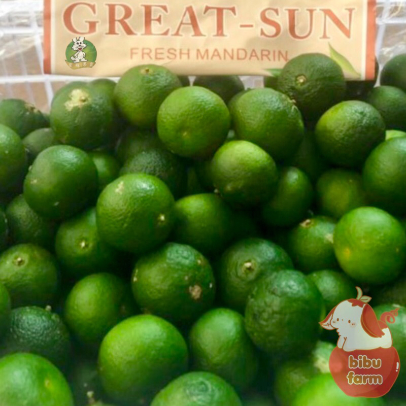 

Jeruk Greenchi Great Sun China Berat/Kilogram