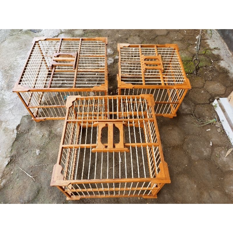 Dondang umbaran merpati