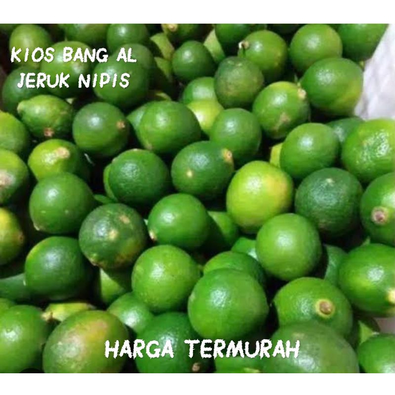 

JERUK NIPIS DAERAH TERBAIK HIJAU/JERUK NIPIS/JERUK NIPIS HIJAU/JERUK NIPIS PERAS/JERUK NIPIS MURAH/JERUK NIPIS 500 GRAM/JERUK NIPIS 1KG/JERUK NIPIS TERBAIK