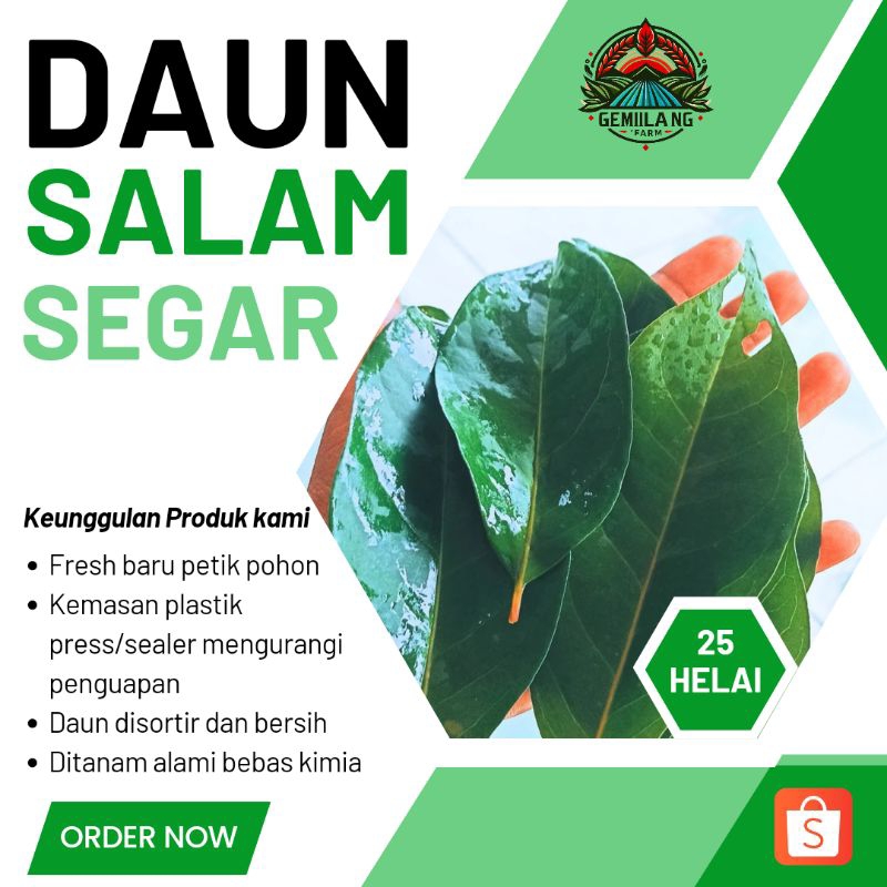 

Daun Salam Segar | Daun Salam Fresh |