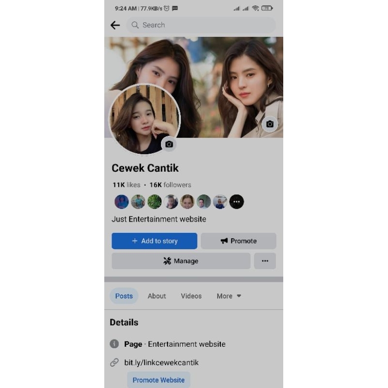 Fanspage 10 K follower organik status hijau