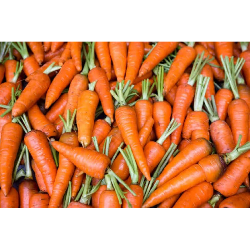 

wortel fresh segar wortel segar wortel obat minus grosir buah sayur bandung 30 sayur buah fresh