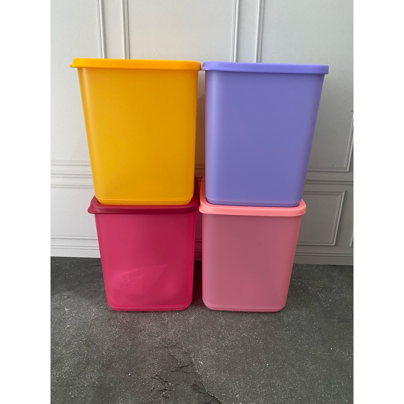 LARGE SUMMER FUN toples tupperware