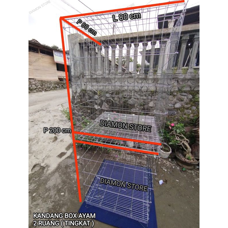 KANDANG BOX AYAM LAGA JAGO BANGKOK TAJI PHILIPINE EKOR LIDI KATE GALVANIS ANTI KARAT